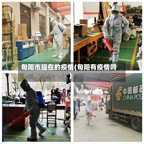 旬阳市现在的疫情(旬阳有疫情吗)-第1张图片