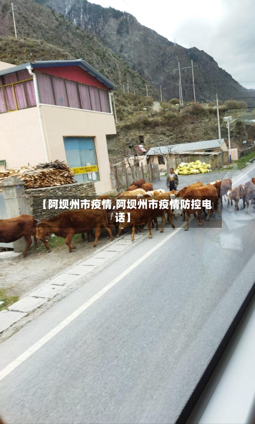 【阿坝州市疫情,阿坝州市疫情防控电话】-第1张图片