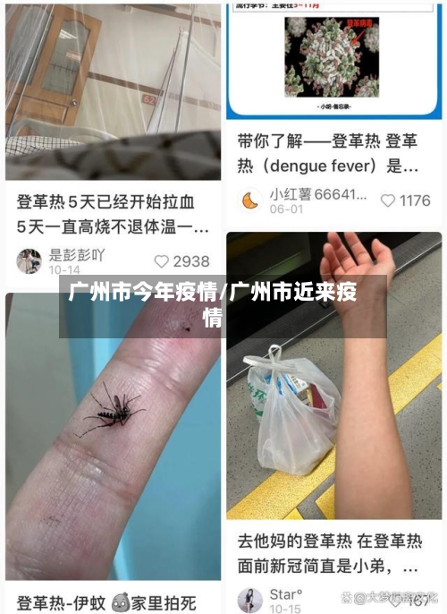 广州市今年疫情/广州市近来疫情-第3张图片