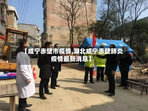 【咸宁赤壁市疫情,湖北咸宁赤壁肺炎疫情最新消息】-第2张图片