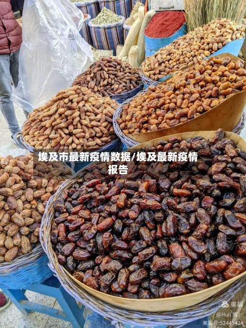 埃及市最新疫情数据/埃及最新疫情报告