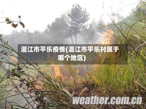湛江市平乐疫情(湛江市平乐村属于哪个地区)