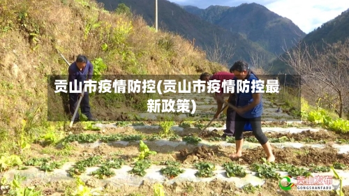 贡山市疫情防控(贡山市疫情防控最新政策)-第3张图片