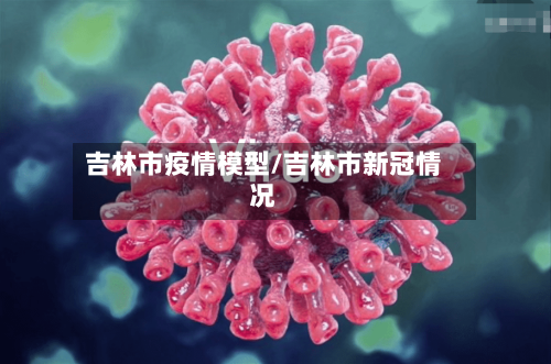 吉林市疫情模型/吉林市新冠情况-第1张图片