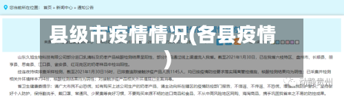 县级市疫情情况(各县疫情)-第3张图片