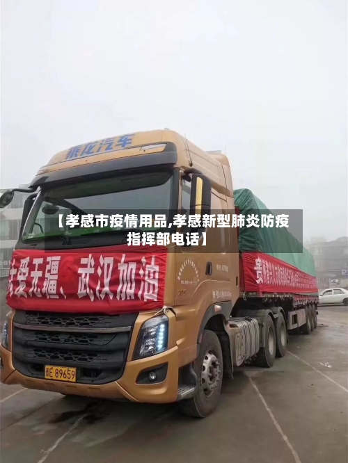 【孝感市疫情用品,孝感新型肺炎防疫指挥部电话】