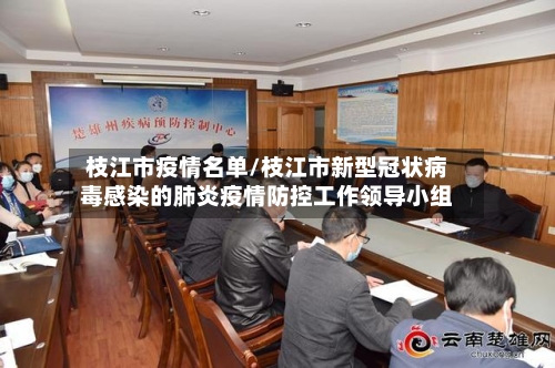 枝江市疫情名单/枝江市新型冠状病毒感染的肺炎疫情防控工作领导小组-第2张图片