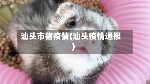 汕头市猪疫情(汕头疫情通报)