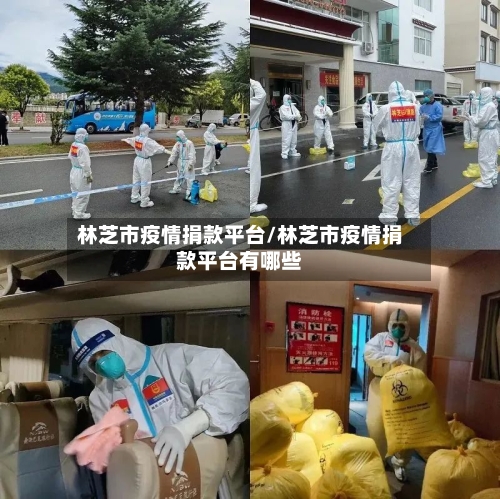 林芝市疫情捐款平台/林芝市疫情捐款平台有哪些-第2张图片