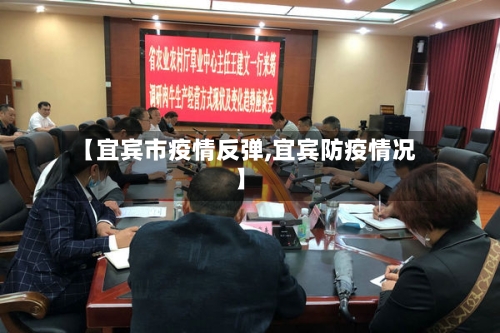 【宜宾市疫情反弹,宜宾防疫情况】