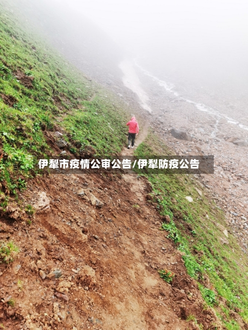 伊犁市疫情公审公告/伊犁防疫公告-第3张图片