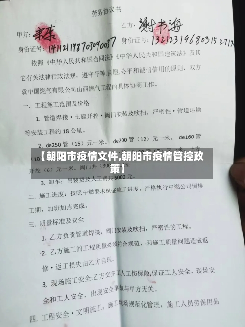 【朝阳市疫情文件,朝阳市疫情管控政策】