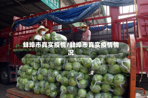 蚌埠市真实疫情/蚌埠市真实疫情情况-第1张图片