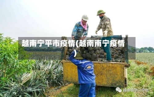越南宁平市疫情(越南南宁疫情)-第1张图片