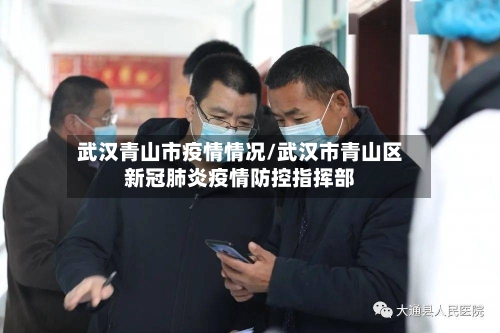 武汉青山市疫情情况/武汉市青山区新冠肺炎疫情防控指挥部-第1张图片