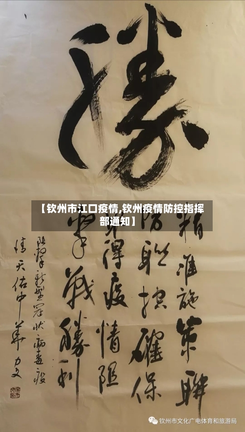 【钦州市江口疫情,钦州疫情防控指挥部通知】-第3张图片