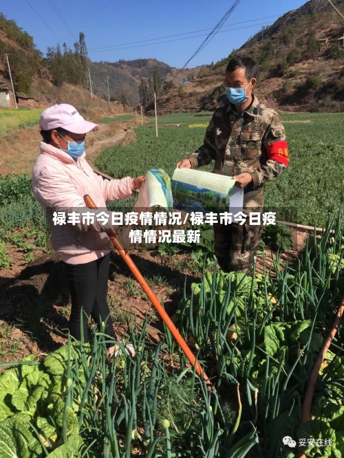 禄丰市今日疫情情况/禄丰市今日疫情情况最新-第1张图片