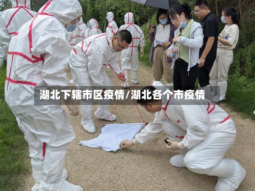 湖北下辖市区疫情/湖北各个市疫情-第1张图片