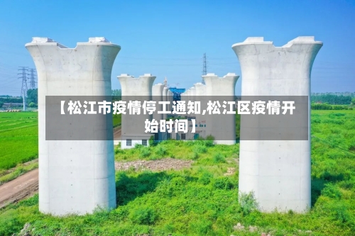 【松江市疫情停工通知,松江区疫情开始时间】-第3张图片