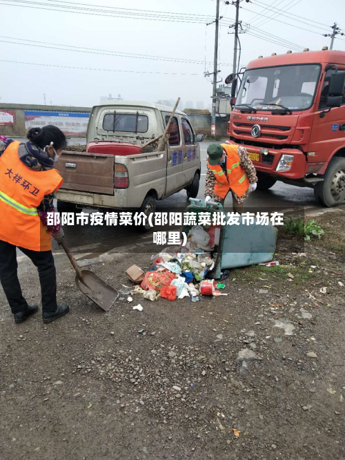 邵阳市疫情菜价(邵阳蔬菜批发市场在哪里)-第1张图片