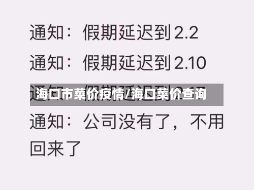 海口市菜价疫情/海口菜价查询-第1张图片