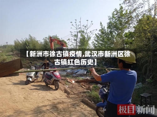 【新洲市徐古镇疫情,武汉市新洲区徐古镇红色历史】-第2张图片