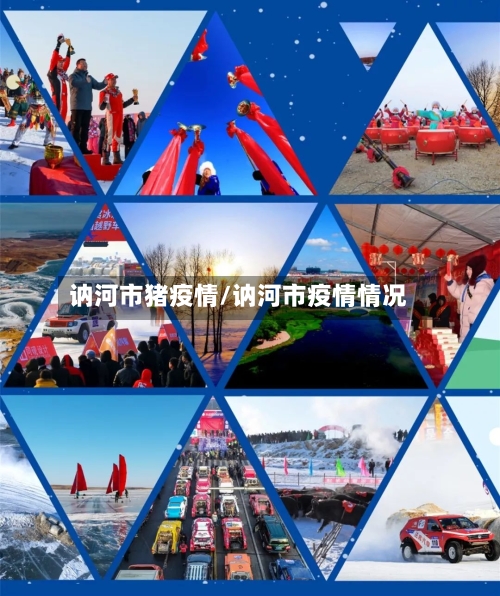 讷河市猪疫情/讷河市疫情情况-第2张图片