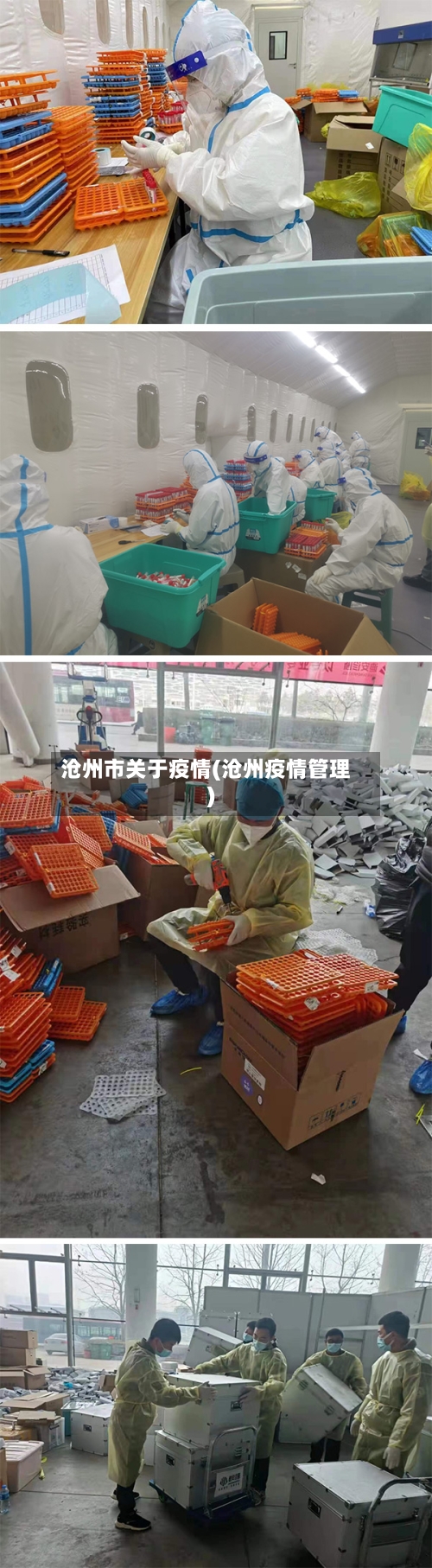 沧州市关于疫情(沧州疫情管理)-第1张图片