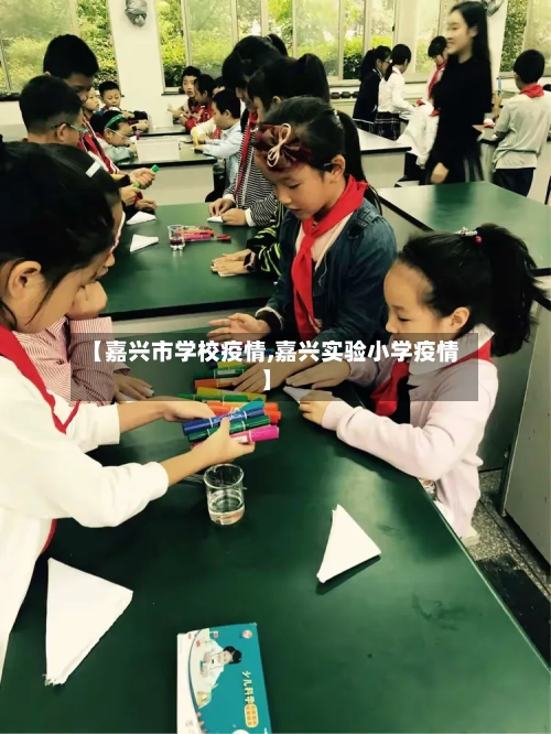 【嘉兴市学校疫情,嘉兴实验小学疫情】-第1张图片