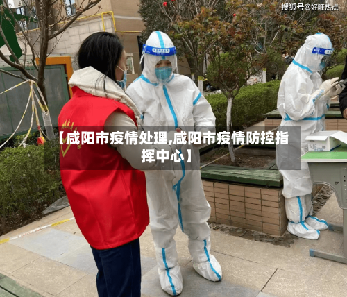 【咸阳市疫情处理,咸阳市疫情防控指挥中心】-第2张图片