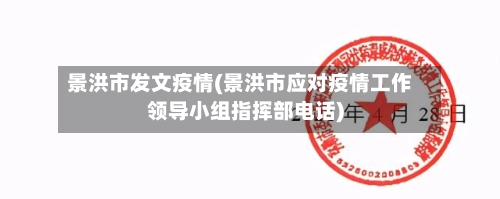 景洪市发文疫情(景洪市应对疫情工作领导小组指挥部电话)-第1张图片