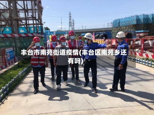 丰台市南苑街道疫情(丰台区南苑乡还有吗)-第3张图片