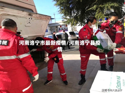 河南洛宁市最新疫情/河南洛宁县疫情-第3张图片