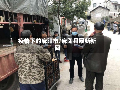 疫情下的麻阳市/麻阳县最新新闻-第2张图片