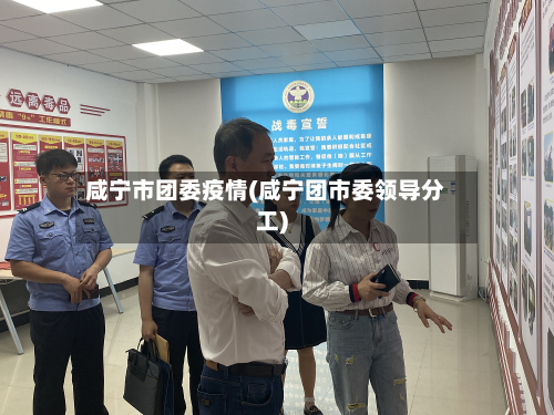 咸宁市团委疫情(咸宁团市委领导分工)-第2张图片
