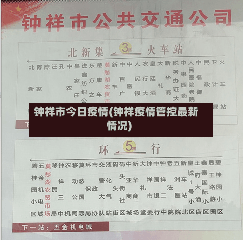 钟祥市今日疫情(钟祥疫情管控最新情况)-第2张图片