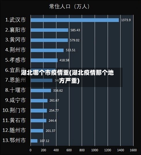 湖北哪个市疫情重(湖北疫情那个地方严重)-第1张图片