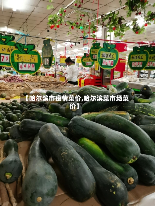 【哈尔滨市疫情菜价,哈尔滨菜市场菜价】-第1张图片
