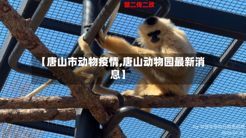 【唐山市动物疫情,唐山动物园最新消息】-第1张图片