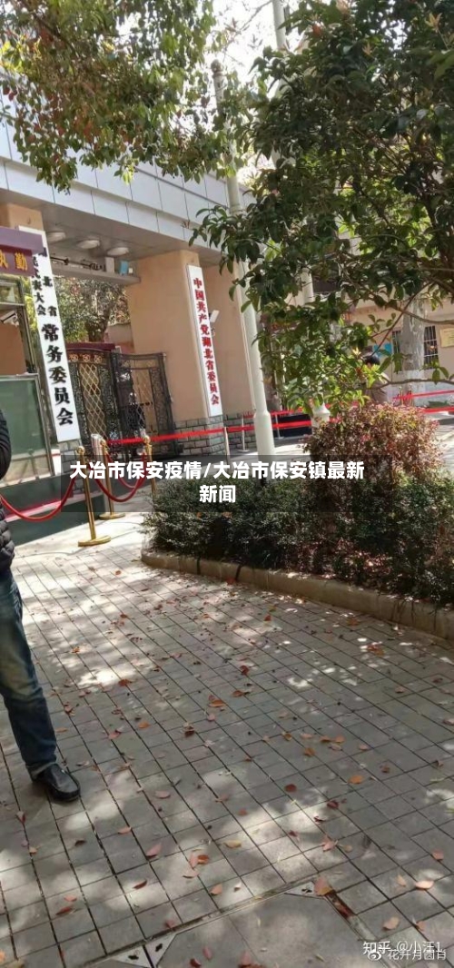 大冶市保安疫情/大冶市保安镇最新新闻-第1张图片