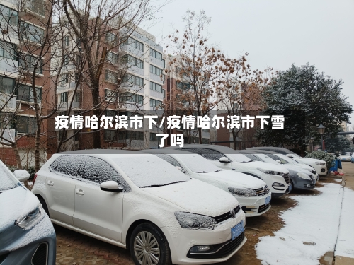 疫情哈尔滨市下/疫情哈尔滨市下雪了吗-第1张图片