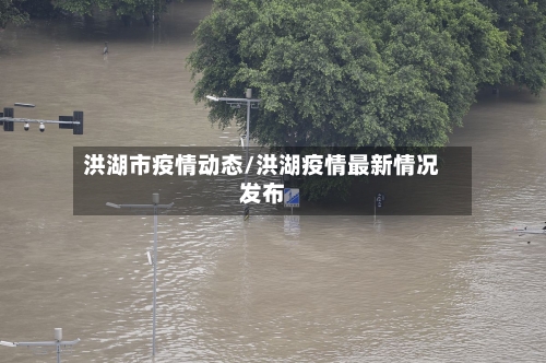 洪湖市疫情动态/洪湖疫情最新情况发布-第1张图片