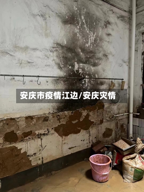 安庆市疫情江边/安庆灾情-第1张图片