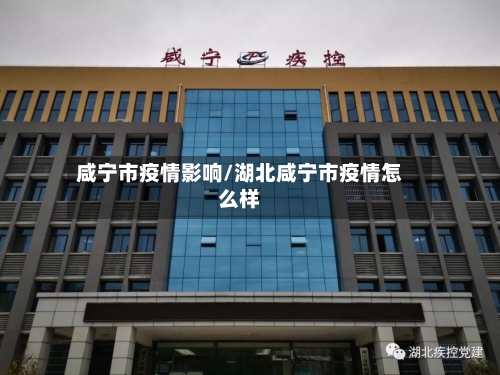 咸宁市疫情影响/湖北咸宁市疫情怎么样-第1张图片