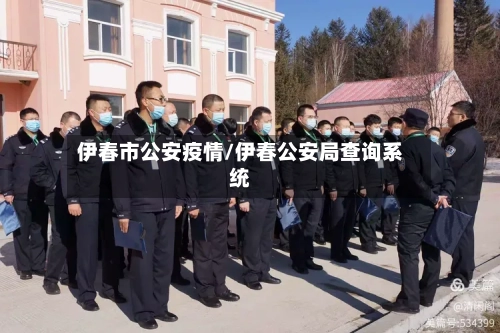 伊春市公安疫情/伊春公安局查询系统-第1张图片
