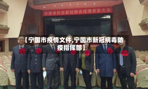【宁国市疫情文件,宁国市新冠病毒防疫指挥部】-第1张图片