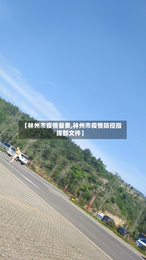 【林州市疫情餐费,林州市疫情防控指挥部文件】-第1张图片