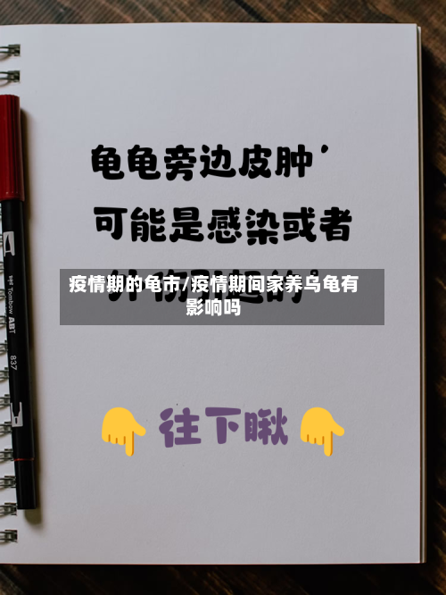 疫情期的龟市/疫情期间家养乌龟有影响吗-第2张图片