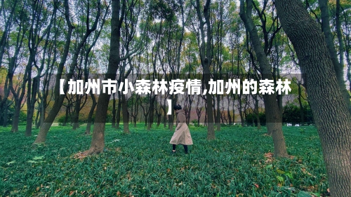 【加州市小森林疫情,加州的森林】-第1张图片