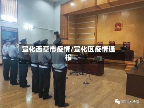 宣化西草市疫情/宣化区疫情通报-第2张图片